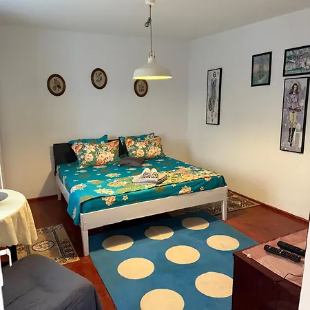 Сasa de vacaciones Casuta Alga Sulina