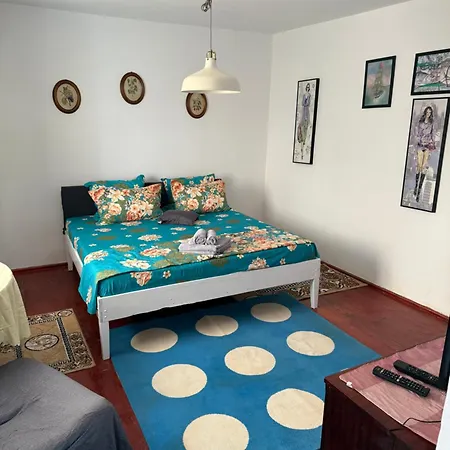 Casuta Alga Сasa de vacaciones