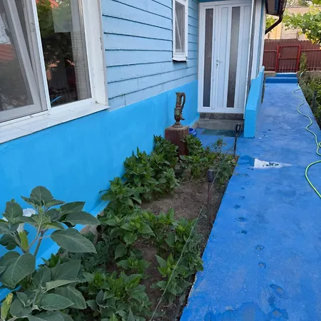 Holiday home Casuta Alga