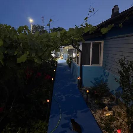 Holiday home Casuta Alga