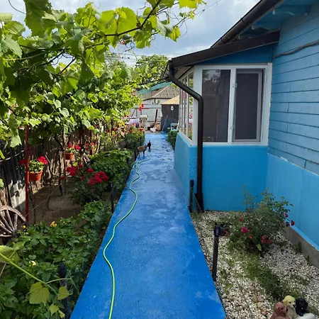 Сasa de vacaciones Casuta Alga *