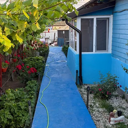 Сasa de vacaciones Casuta Alga *