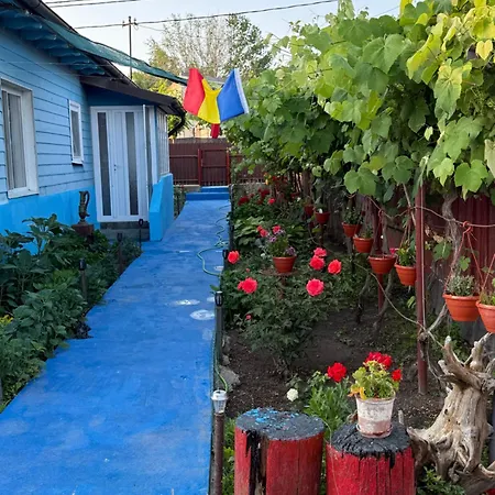 Сasa de vacaciones Casuta Alga *