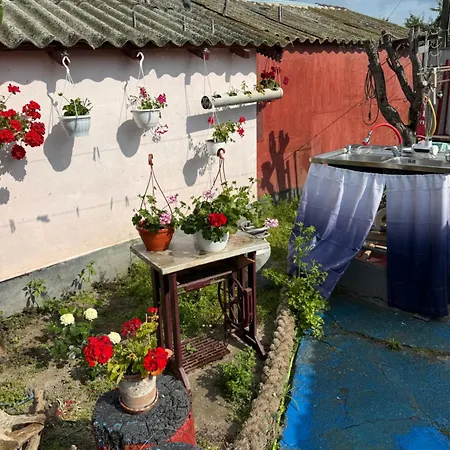 Casuta Alga * 苏利纳