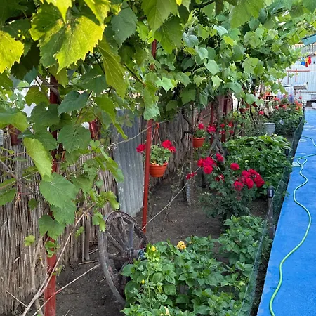 度假居 Casuta Alga 苏利纳