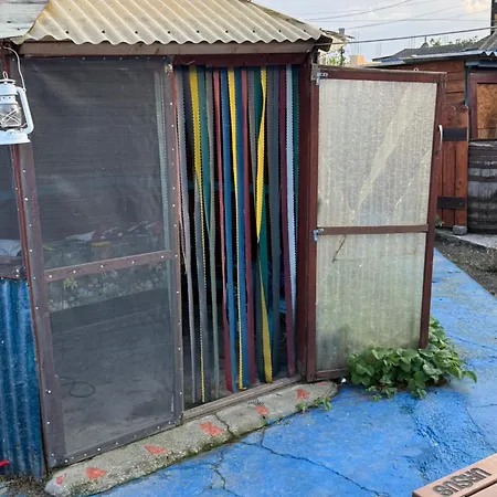 Casuta Alga 度假居