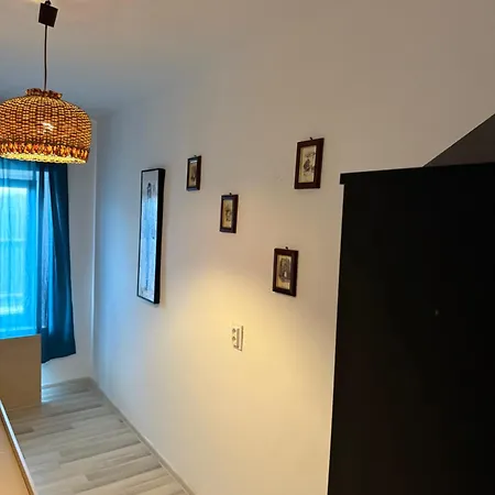 Casuta Alga 度假居 苏利纳